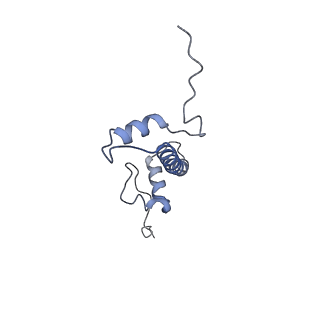10394_6t7d_C_v1-1
Structure of human Sox11 transcription factor in complex with a nucleosome