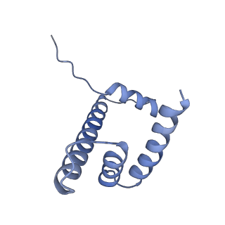 10394_6t7d_D_v1-1
Structure of human Sox11 transcription factor in complex with a nucleosome