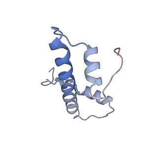 10394_6t7d_F_v1-1
Structure of human Sox11 transcription factor in complex with a nucleosome