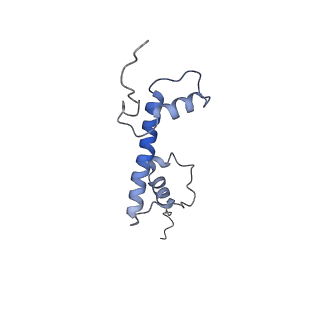 10394_6t7d_G_v1-1
Structure of human Sox11 transcription factor in complex with a nucleosome