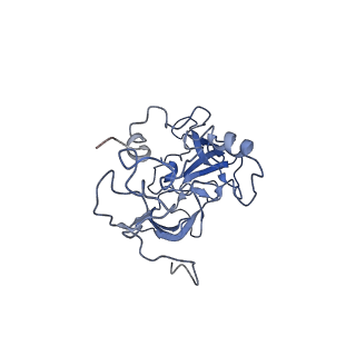 10396_6t7i_LA_v1-2
Structure of yeast 80S ribosome stalled on the CGA-CGA inhibitory codon combination.