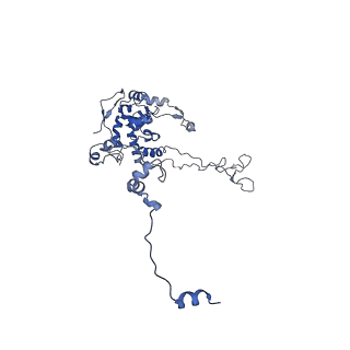10396_6t7i_LC_v1-2
Structure of yeast 80S ribosome stalled on the CGA-CGA inhibitory codon combination.