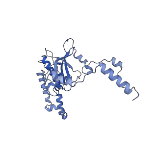 10396_6t7i_LD_v1-2
Structure of yeast 80S ribosome stalled on the CGA-CGA inhibitory codon combination.