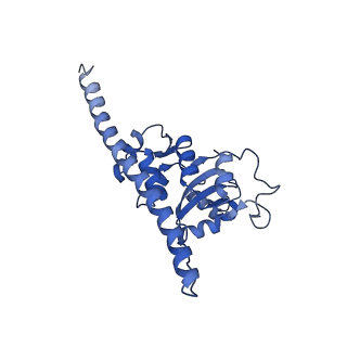 10396_6t7i_LF_v1-2
Structure of yeast 80S ribosome stalled on the CGA-CGA inhibitory codon combination.
