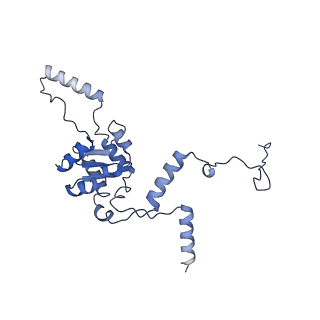 10396_6t7i_LG_v1-2
Structure of yeast 80S ribosome stalled on the CGA-CGA inhibitory codon combination.
