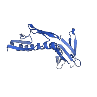10396_6t7i_LH_v1-2
Structure of yeast 80S ribosome stalled on the CGA-CGA inhibitory codon combination.