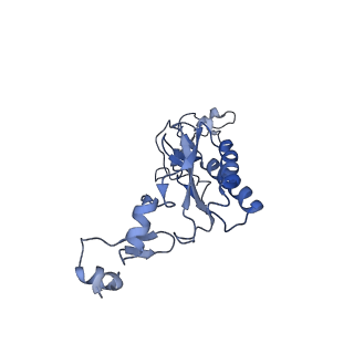 10396_6t7i_LI_v1-2
Structure of yeast 80S ribosome stalled on the CGA-CGA inhibitory codon combination.