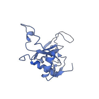 10396_6t7i_LJ_v1-2
Structure of yeast 80S ribosome stalled on the CGA-CGA inhibitory codon combination.