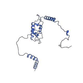 10396_6t7i_LL_v1-2
Structure of yeast 80S ribosome stalled on the CGA-CGA inhibitory codon combination.