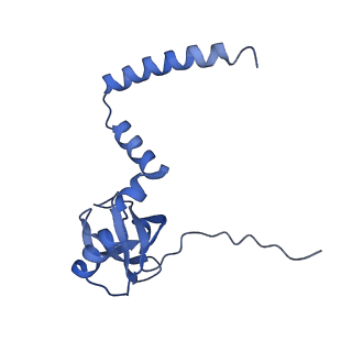 10396_6t7i_LM_v1-2
Structure of yeast 80S ribosome stalled on the CGA-CGA inhibitory codon combination.
