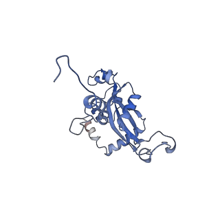 10396_6t7i_LN_v1-2
Structure of yeast 80S ribosome stalled on the CGA-CGA inhibitory codon combination.