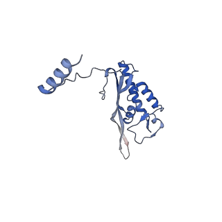 10396_6t7i_LP_v1-2
Structure of yeast 80S ribosome stalled on the CGA-CGA inhibitory codon combination.