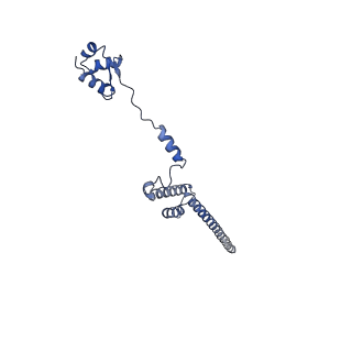 10396_6t7i_LR_v1-2
Structure of yeast 80S ribosome stalled on the CGA-CGA inhibitory codon combination.