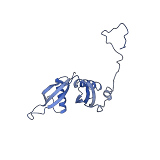 10396_6t7i_LS_v1-2
Structure of yeast 80S ribosome stalled on the CGA-CGA inhibitory codon combination.