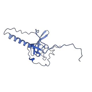 10396_6t7i_LT_v1-2
Structure of yeast 80S ribosome stalled on the CGA-CGA inhibitory codon combination.