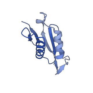 10396_6t7i_LU_v1-2
Structure of yeast 80S ribosome stalled on the CGA-CGA inhibitory codon combination.