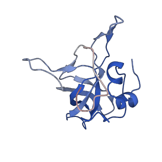 10396_6t7i_LV_v1-2
Structure of yeast 80S ribosome stalled on the CGA-CGA inhibitory codon combination.