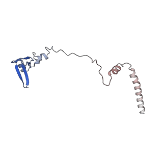 10396_6t7i_LW_v1-2
Structure of yeast 80S ribosome stalled on the CGA-CGA inhibitory codon combination.