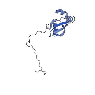 10396_6t7i_LX_v1-2
Structure of yeast 80S ribosome stalled on the CGA-CGA inhibitory codon combination.