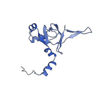 10396_6t7i_LY_v1-2
Structure of yeast 80S ribosome stalled on the CGA-CGA inhibitory codon combination.