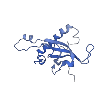 10396_6t7i_LZ_v1-2
Structure of yeast 80S ribosome stalled on the CGA-CGA inhibitory codon combination.