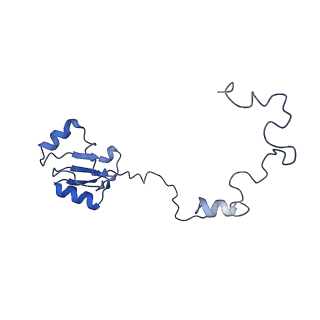 10396_6t7i_La_v1-2
Structure of yeast 80S ribosome stalled on the CGA-CGA inhibitory codon combination.