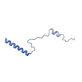 10396_6t7i_Lb_v1-2
Structure of yeast 80S ribosome stalled on the CGA-CGA inhibitory codon combination.