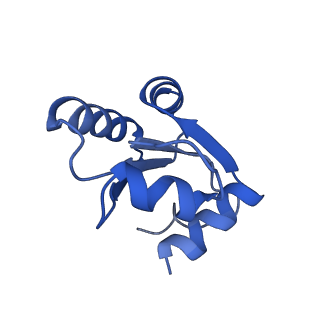 10396_6t7i_Lc_v1-2
Structure of yeast 80S ribosome stalled on the CGA-CGA inhibitory codon combination.
