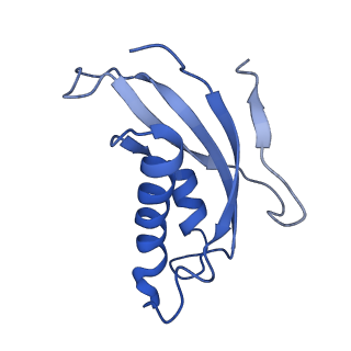 10396_6t7i_Ld_v1-2
Structure of yeast 80S ribosome stalled on the CGA-CGA inhibitory codon combination.