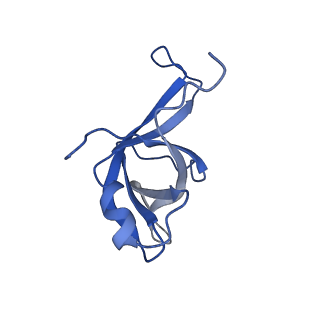 10396_6t7i_Lf_v1-2
Structure of yeast 80S ribosome stalled on the CGA-CGA inhibitory codon combination.