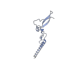 10396_6t7i_Lg_v1-2
Structure of yeast 80S ribosome stalled on the CGA-CGA inhibitory codon combination.