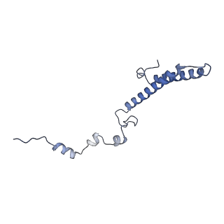 10396_6t7i_Lh_v1-2
Structure of yeast 80S ribosome stalled on the CGA-CGA inhibitory codon combination.