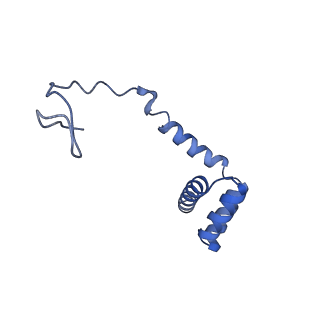 10396_6t7i_Li_v1-2
Structure of yeast 80S ribosome stalled on the CGA-CGA inhibitory codon combination.