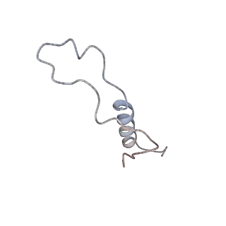 10396_6t7i_Ll_v1-2
Structure of yeast 80S ribosome stalled on the CGA-CGA inhibitory codon combination.