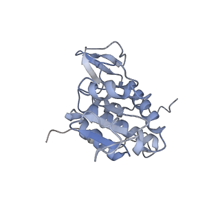 10396_6t7i_SA_v1-2
Structure of yeast 80S ribosome stalled on the CGA-CGA inhibitory codon combination.
