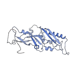 10396_6t7i_SB_v1-2
Structure of yeast 80S ribosome stalled on the CGA-CGA inhibitory codon combination.
