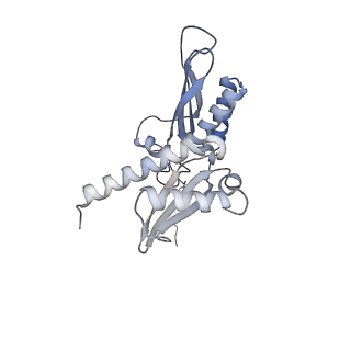 10396_6t7i_SD_v1-2
Structure of yeast 80S ribosome stalled on the CGA-CGA inhibitory codon combination.
