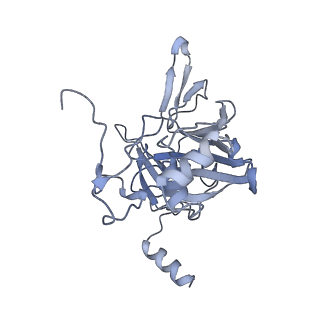 10396_6t7i_SE_v1-2
Structure of yeast 80S ribosome stalled on the CGA-CGA inhibitory codon combination.