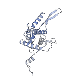 10396_6t7i_SF_v1-2
Structure of yeast 80S ribosome stalled on the CGA-CGA inhibitory codon combination.