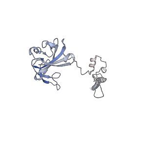 10396_6t7i_SG_v1-2
Structure of yeast 80S ribosome stalled on the CGA-CGA inhibitory codon combination.