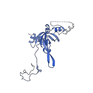 10396_6t7i_SI_v1-2
Structure of yeast 80S ribosome stalled on the CGA-CGA inhibitory codon combination.