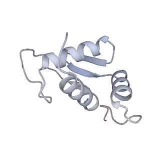 10396_6t7i_SK_v1-2
Structure of yeast 80S ribosome stalled on the CGA-CGA inhibitory codon combination.