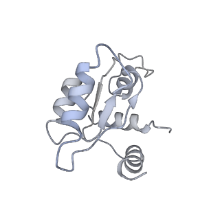 10396_6t7i_SM_v1-2
Structure of yeast 80S ribosome stalled on the CGA-CGA inhibitory codon combination.