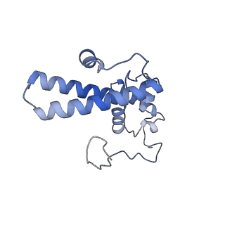 10396_6t7i_SN_v1-2
Structure of yeast 80S ribosome stalled on the CGA-CGA inhibitory codon combination.