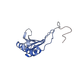 10396_6t7i_SO_v1-2
Structure of yeast 80S ribosome stalled on the CGA-CGA inhibitory codon combination.