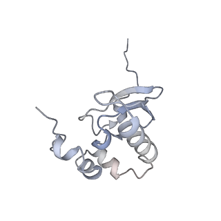 10396_6t7i_SP_v1-2
Structure of yeast 80S ribosome stalled on the CGA-CGA inhibitory codon combination.