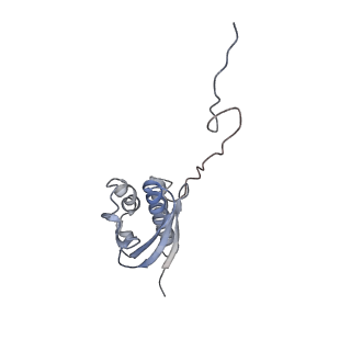 10396_6t7i_SQ_v1-2
Structure of yeast 80S ribosome stalled on the CGA-CGA inhibitory codon combination.