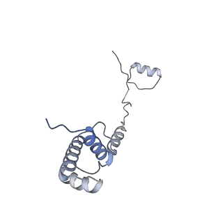 10396_6t7i_SR_v1-2
Structure of yeast 80S ribosome stalled on the CGA-CGA inhibitory codon combination.