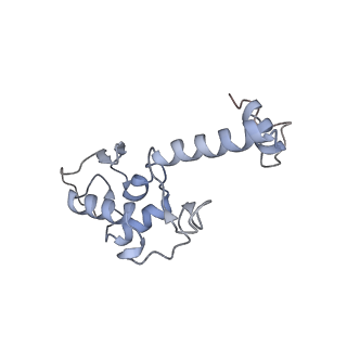 10396_6t7i_SS_v1-2
Structure of yeast 80S ribosome stalled on the CGA-CGA inhibitory codon combination.