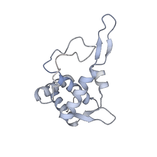 10396_6t7i_ST_v1-2
Structure of yeast 80S ribosome stalled on the CGA-CGA inhibitory codon combination.